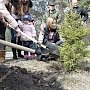 Поклонская посадила ели в крымском заповеднике