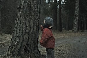 Под Севастополем в лесу потерялась семилетняя девочка
