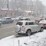 Госкомитет по ценам Крыма пожаловался в ГИБДД на водителей, разрушивших клумбу