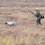 На западе Крыма пройдут соревнования легавых собак