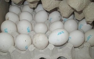 Крупную партию куриных яиц из Украины везли в Крым в прицепе для перевозки скота