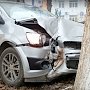 В Керчи при ударе машины о дерево погибли три человека