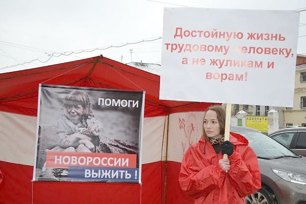 В Нижнем Новгороде проходят пикеты в поддержку закона «О детях войны»