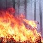 В Крыму началась подготовка к пожароопасному сезону