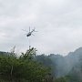 МЧС выставит на борьбу с лесными пожарами в Крыму почти 800 спасателей