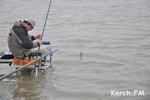 В Крыму до конца весны запретили любительскую и спортивную рыбалку