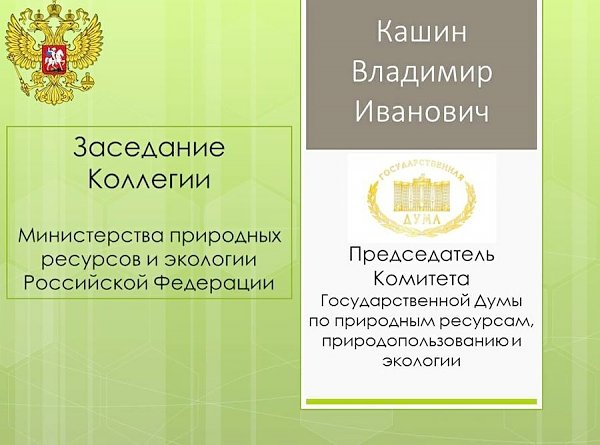 Заседание Коллегии Министерства природных ресурсов и экологии Российской Федерации