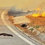 В Ялте с мая запретят сжигание сухой травы