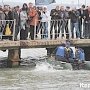 Керчанин прыгнул в ледяное море в память погибших воинов