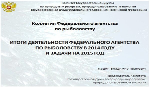 В.И. Кашин: «Итоги деятельности Федерального агентства по рыболовству в 2014 году и задачи на 2015 год»