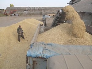 На зерно урожая этого года в Крыму установили минимальные закупочные цены