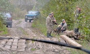 Прокуратура обязала власти Севастополя составить программу защиты животных