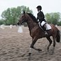 Под Симферополем пройдёт Чемпионат Крыма по дистанционным конным пробегам