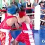 В Керчи состоялся турнир по кикбоксингу и тайскому боксу