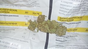 Полицейскими Ялты у местного жителя изъята марихуана