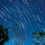 Сегодня в ночное время крымчане смогут увидеть звездный дождь, — астроном