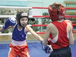 В Севастополе пройдёт юношеский турнир по боксу