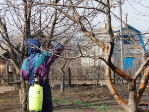 Всё успеть, чтобы не опоздать