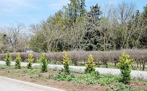 В Евпатории готовятся к встрече курортников: озеленяют парки, красят скамейки и ремонтируют фонтаны