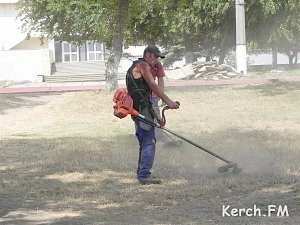 Керчан просят скосить траву на прилегающих территориях