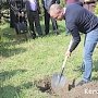 В Керчи посадили «Дерево Победы»