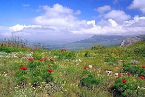 В Крыму переменная облачность, дожди