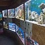 Реконструкцию аквариума в Алуште отменили