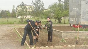 Полицейские Черноморского района высадили Аллею памяти из белой сирени