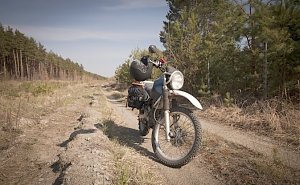 Мотоциклисту из Симферополя дали условный срок за намеренный наезд на лесника