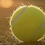 В Новом Свете пройдут теннисные турниры