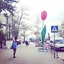В центре Севастополя появились гигантские тюльпаны