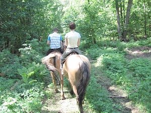 В горах в Крыму заблудились конные туристы