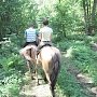 В горах в Крыму заблудились конные туристы