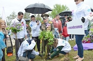 На главной высоте России высадили сирень победы