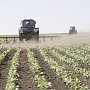 Сельское хозяйство Крыма предложили развивать созданием крупных предприятий