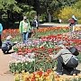 Никитский ботанический сад в Крыму стал самым популярным объектом у туристов в майские праздники