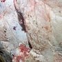 В Крым из Винницкой области везли говядину в навозе