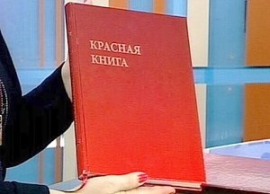 Красную книгу Севастополя наметили издать в следующем году