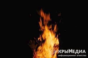 В Крыму объявлена чрезвычайная пожароопасность: туристов просят не жечь костры и не бросать окурки