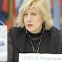 ОБСЕ нашла угрозу свободе слова в украинском законе о декоммунизации