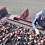 Производство аграрной продукции в Крыму стало дороже её ввоза