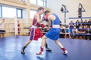 В Севастополе пройдёт боксерский турнир высшего уровня