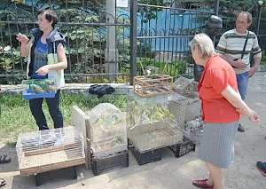 В Столице Крыма провели выставку декоративных птиц