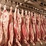 Специалисты не нашли в Крыму случаев заболевания африканской чумой свиней