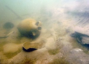 Дайверы нашли на морском дне возле Балаклавы античный корабль