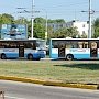 В Столице Крыма запустили экспресс троллейбусы и автобусы