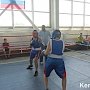 Керченские боксеры привезли золотые медали с турнира