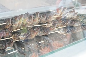 В Феодосии начался фестиваль рыбной кухни «Барабулька»