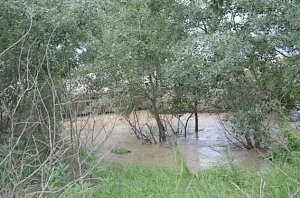 Вишневое и Орловку может затопить вышедшая из берегов река Кача