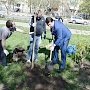О.А. Лебедев в Туле вместе с жителями посадил деревья на месте будущего сквера